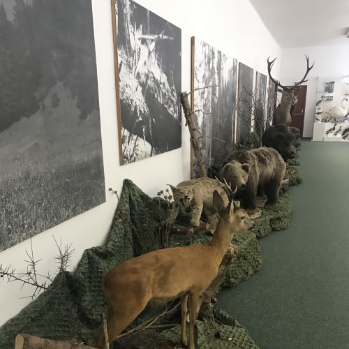 Liptovské múzeum v Ružomberku