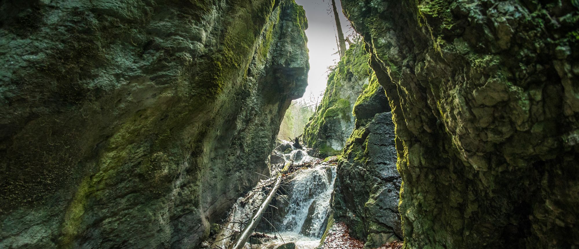 Tiesňava v Čutkovskej doline