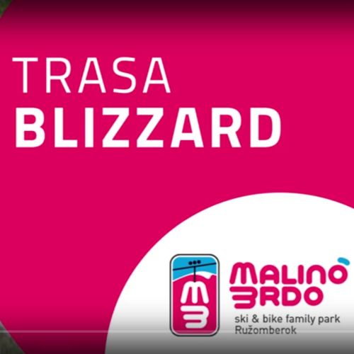 Downhill track: Blizzard