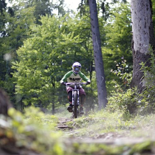 Downhill track: Low ryder