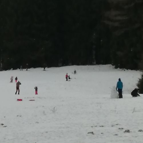 Ski Tow in Železné