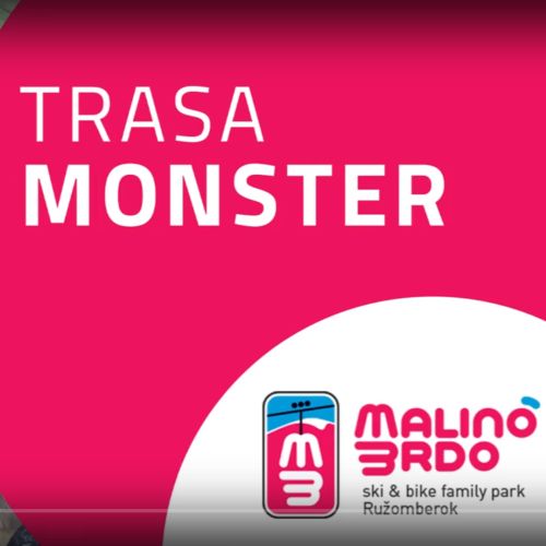 Downhill track: Monster dog