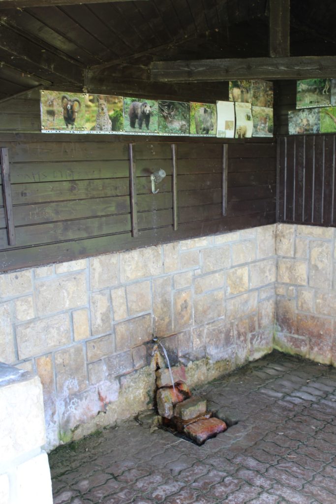 A Round Trip to Mineral Waters A Round Trip to Mineral Waters