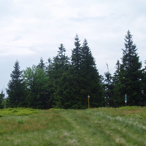 Vrchol Malá Smrekovica