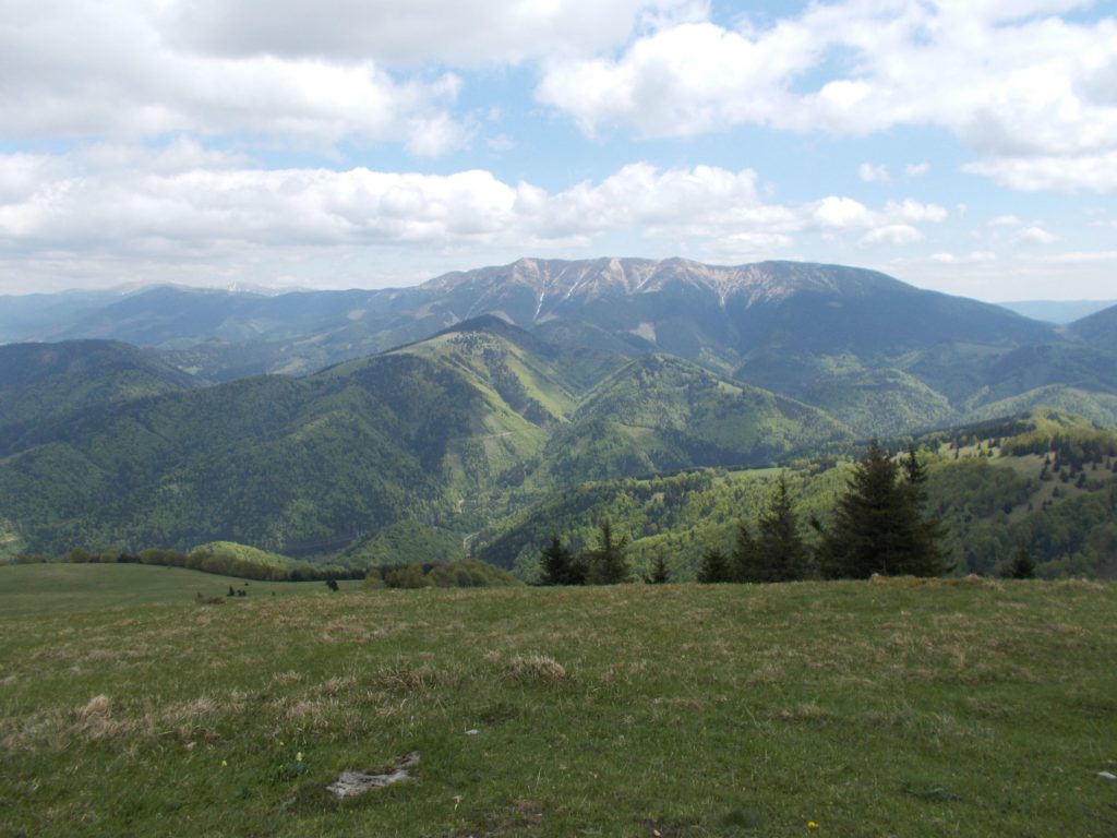 Vrchol Malý Zvolen 03