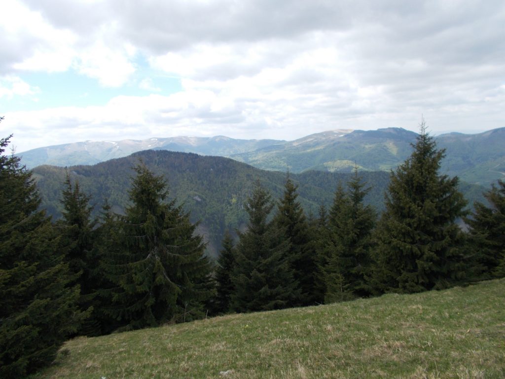 Vrchol Malý Zvolen 05