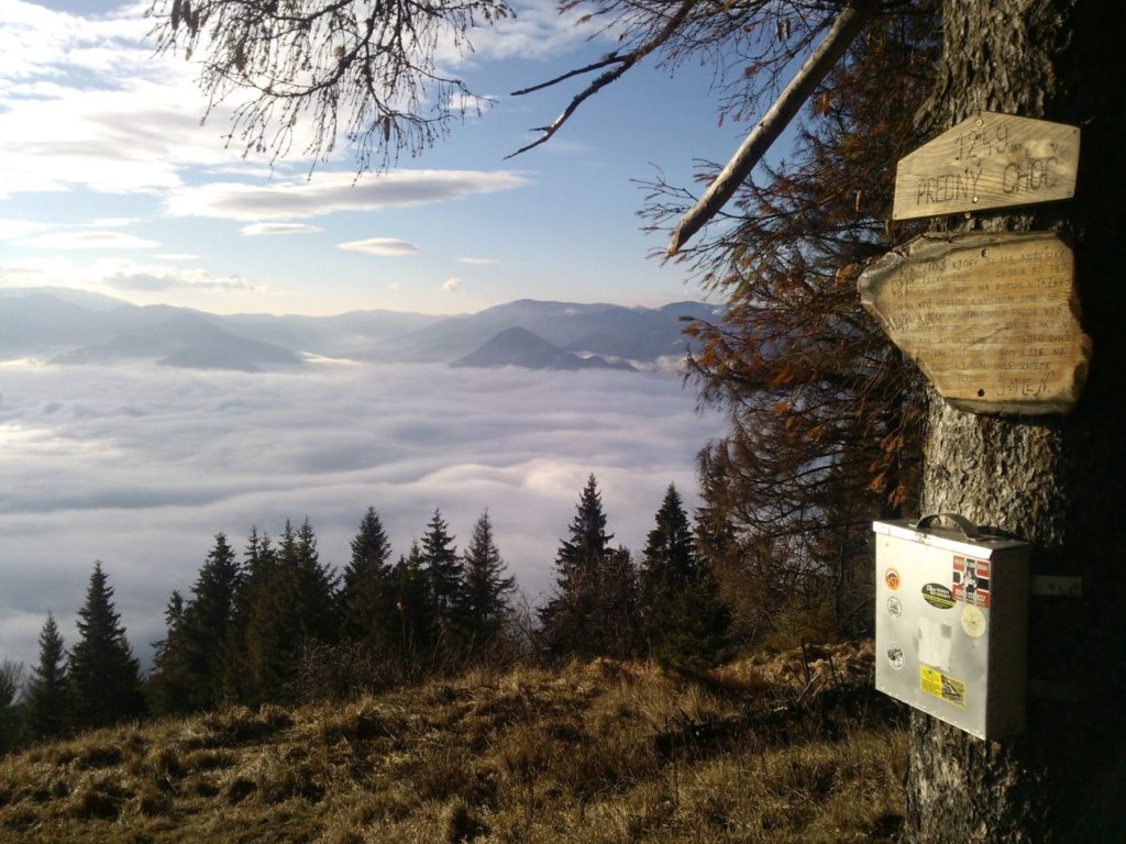 Výhľad Predný Choč (lúka) 01