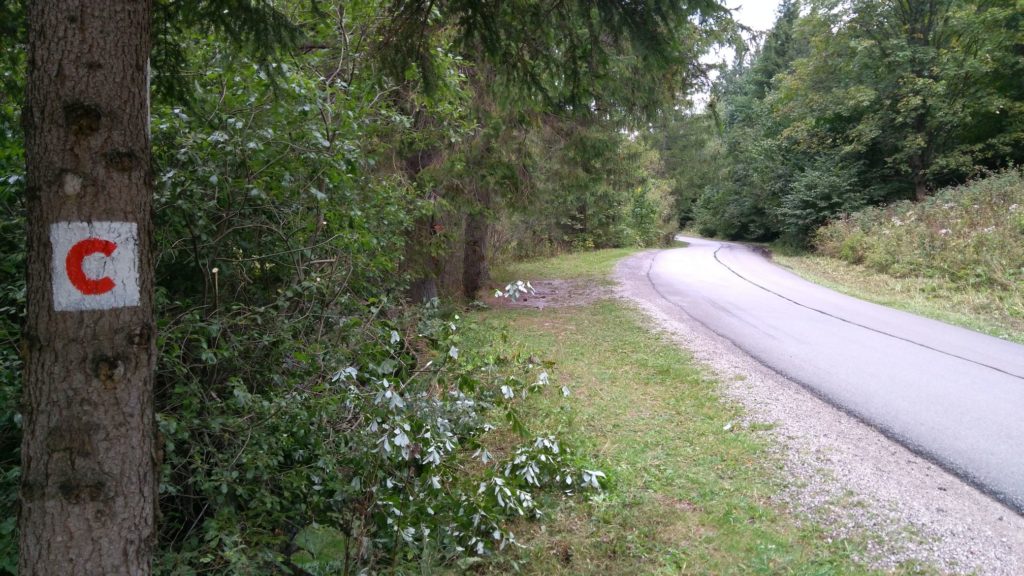 Z Kúpeľov Lúčky do sedla Vrchvarta s deťmi 15 Z Kúpeľov Lúčky do sedla Vrchvarta s deťmi 15