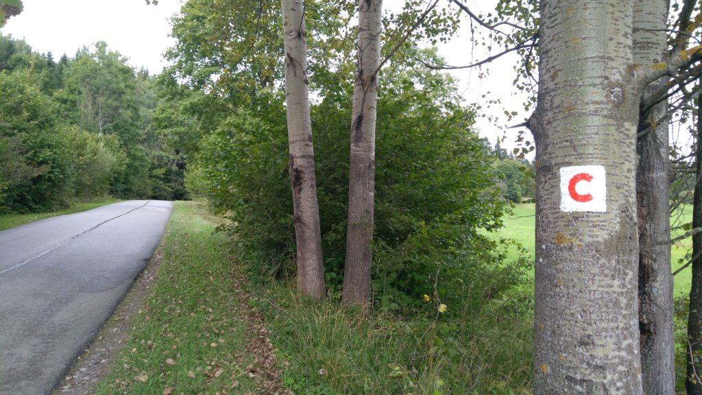 Z Kúpeľov Lúčky do sedla Vrchvarta s deťmi 16 Z Kúpeľov Lúčky do sedla Vrchvarta s deťmi 16