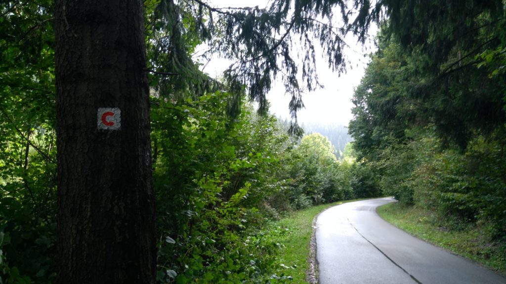 Z Kúpeľov Lúčky do sedla Vrchvarta s deťmi 17 Z Kúpeľov Lúčky do sedla Vrchvarta s deťmi 17