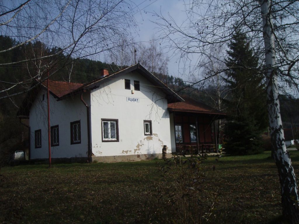 OLYMPUS DIGITAL CAMERA OLYMPUS DIGITAL CAMERA