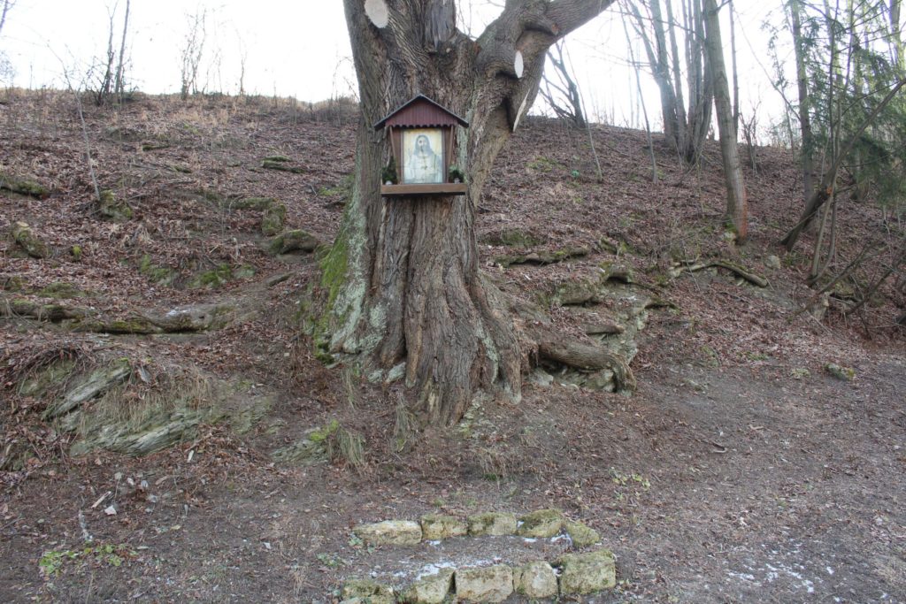 Zastavenie Biely Potok, pri moste 03