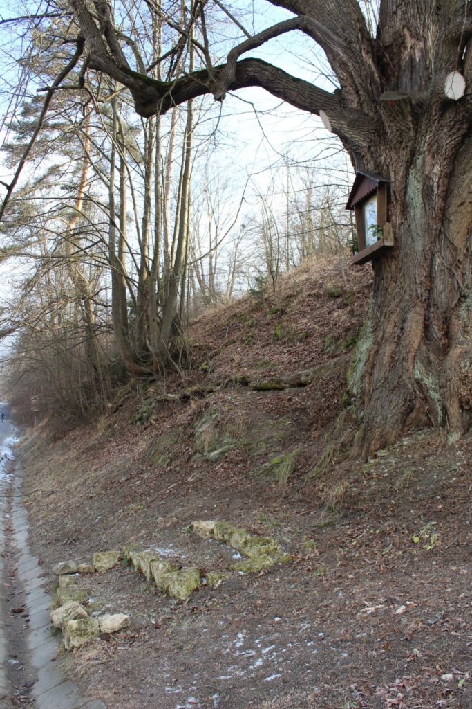 Zastavenie Biely Potok, pri moste 04