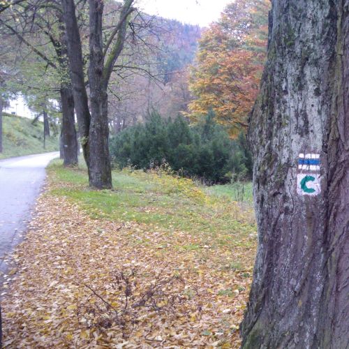 Ľubochnianska Valley with Children