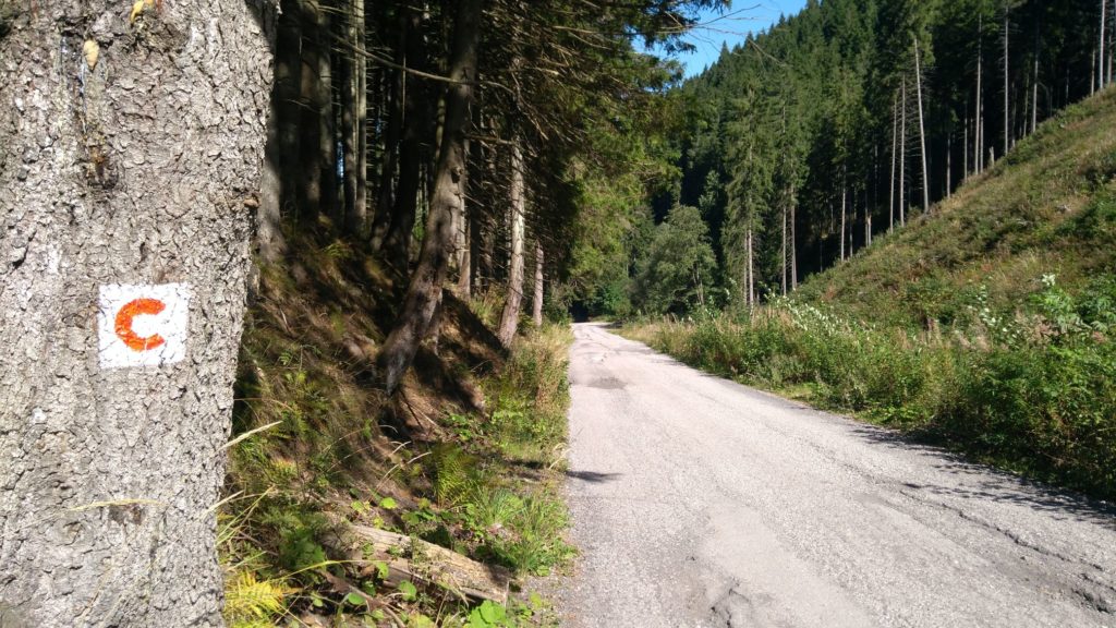 Ľupčianskou dolinou 20
