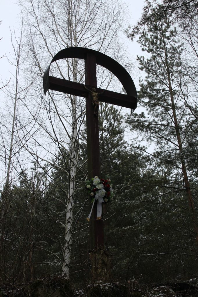 Kríž v lesoparku Hrboltová 06 Kríž v lesoparku Hrboltová 06