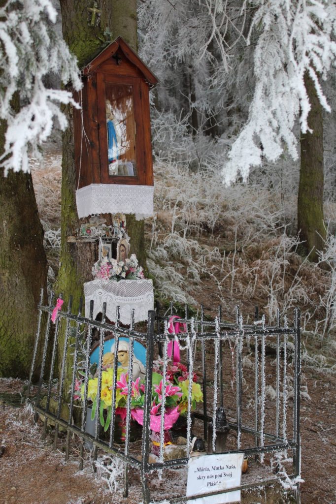 Zastavenie Liptovské Sliače - Stredný, pod lesom nad ulicou Horná Roveň 01 Zastavenie Liptovské Sliače - Stredný, pod lesom nad ulicou Horná Roveň 01