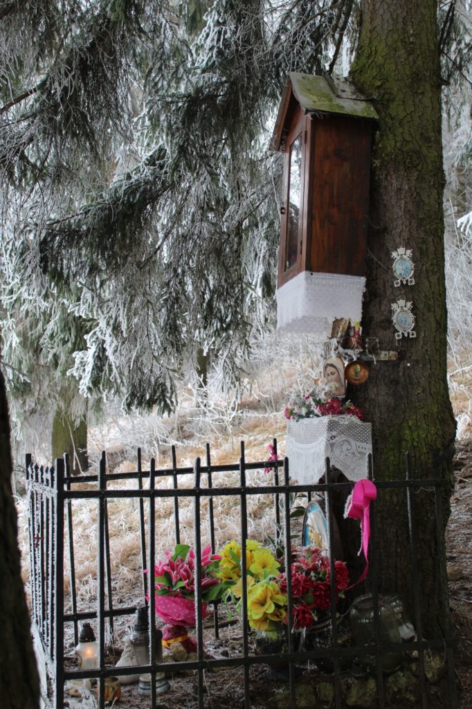 Zastavenie Liptovské Sliače - Stredný, pod lesom nad ulicou Horná Roveň 03 Zastavenie Liptovské Sliače - Stredný, pod lesom nad ulicou Horná Roveň 03