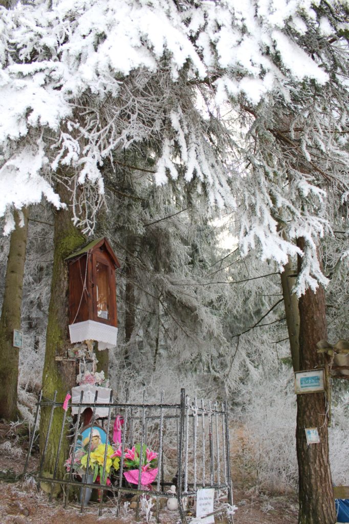 Zastavenie Liptovské Sliače - Stredný, pod lesom nad ulicou Horná Roveň 05 Zastavenie Liptovské Sliače - Stredný, pod lesom nad ulicou Horná Roveň 05