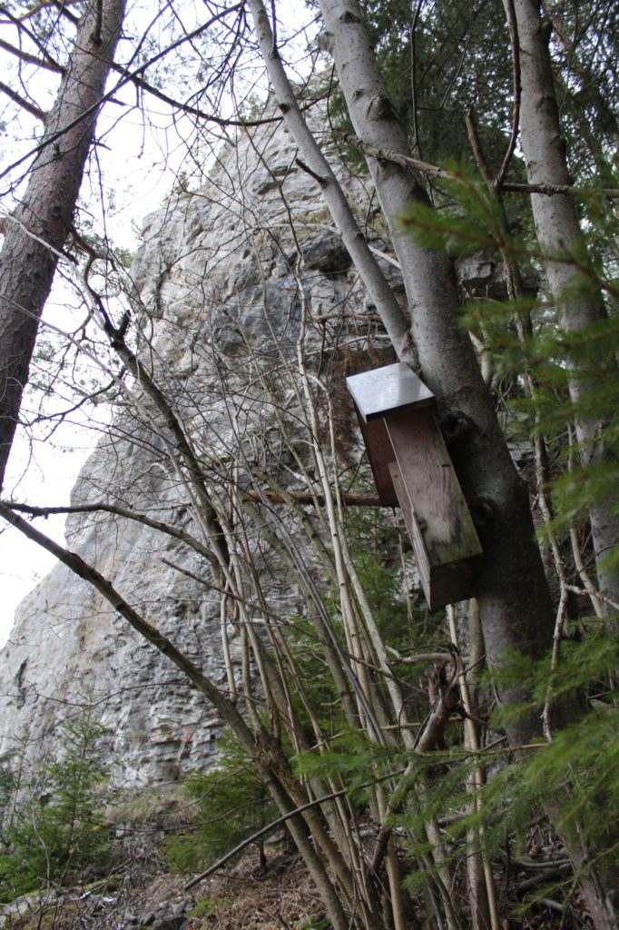 Zastavenie Vlkolínec, Pri Krkavej skale 03