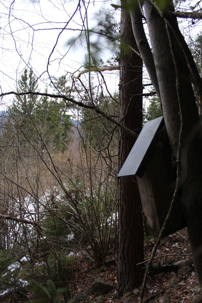 Zastavenie Vlkolínec, Pri Krkavej skale 04