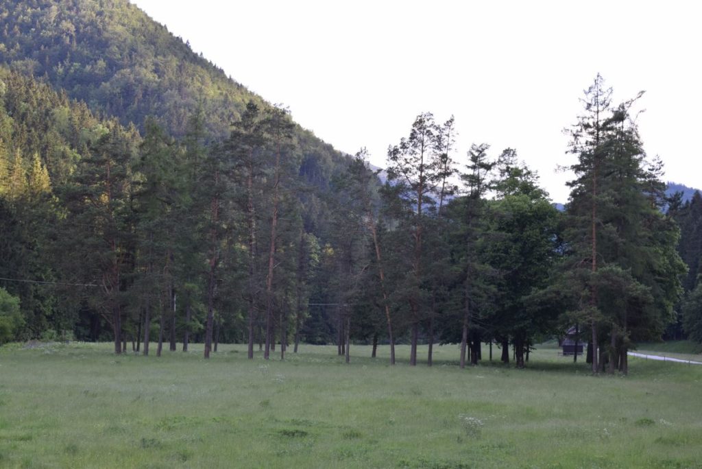 Jubilejný háj pri Liptovských Revúcach 01