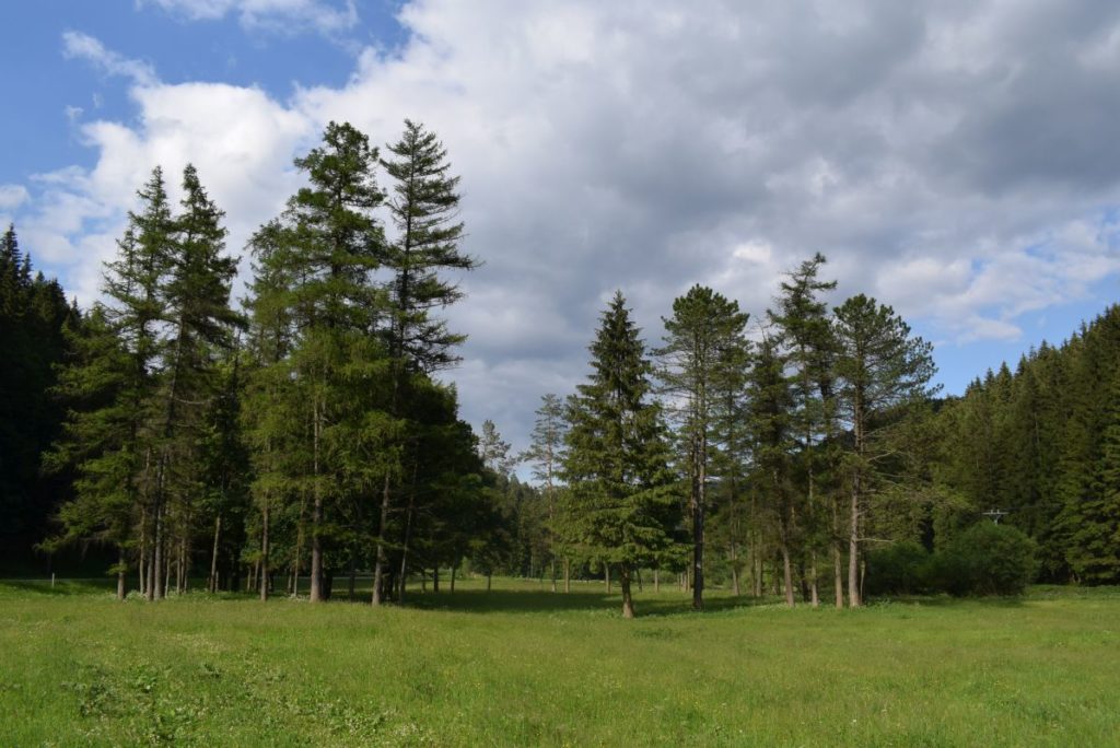 Jubilejný háj pri Liptovských Revúcach 02