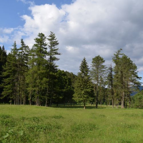 Jubilee Garden near Liptovské Revúce