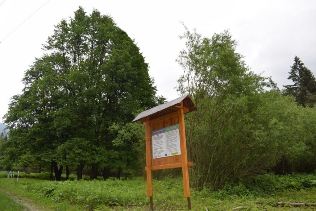 Jubilejný lipový háj v Likavke 04