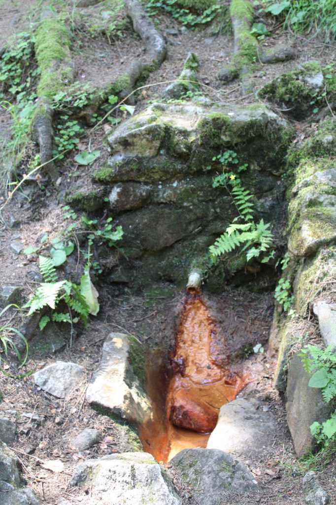 Minerálny prameň Medokýš Podsuchá, Ružomberok - Nižné Matejkovo 03