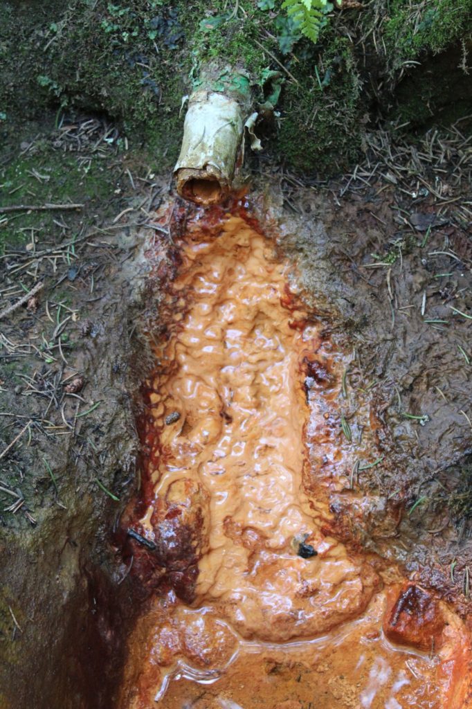 Minerálny prameň Medokýš Podsuchá, Ružomberok - Nižné Matejkovo 04