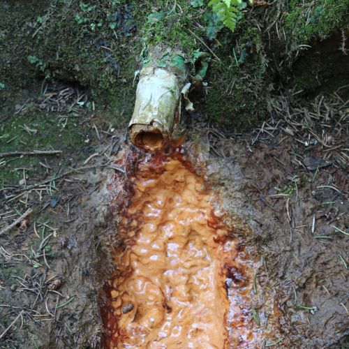 Mineral spring “Medokýš Podsuchá”, Ružomberok – Nižné Matejkovo
