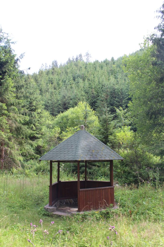 Minerálny prameň Medokýš v Banskom, Liptovská Lúžna 03