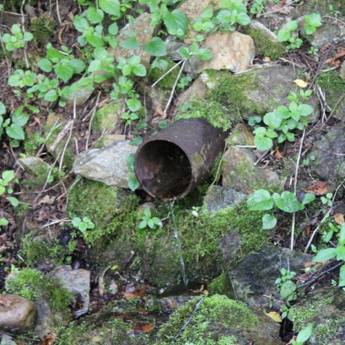 Spring “Za Túrnou”, Liptovská Osada