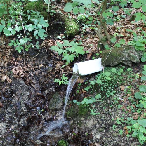 Spring “Pod Tichým” (Below Tiché), Ružomberok – Podsuchá