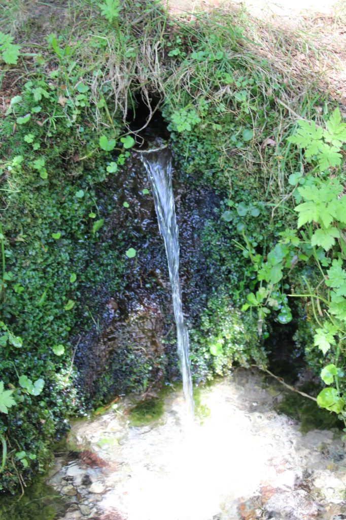 Prameň pod Šetárkou, Ružomberok - Nižné Matejkovo 01 Prameň pod Šetárkou, Ružomberok - Nižné Matejkovo 01