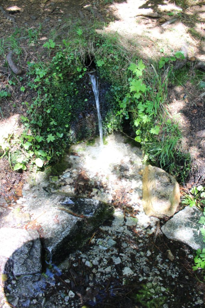 Prameň pod Šetárkou, Ružomberok - Nižné Matejkovo 02 Prameň pod Šetárkou, Ružomberok - Nižné Matejkovo 02