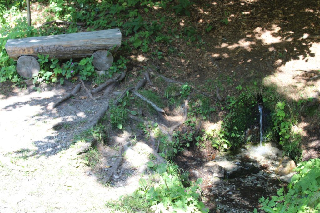 Prameň pod Šetárkou, Ružomberok - Nižné Matejkovo 04 Prameň pod Šetárkou, Ružomberok - Nižné Matejkovo 04