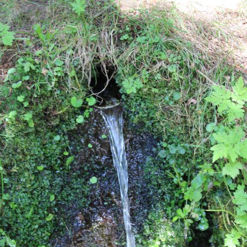 Spring “Pod Šetárkou” (Below Šetárka), Ružomberok – Nižné Matejkovo