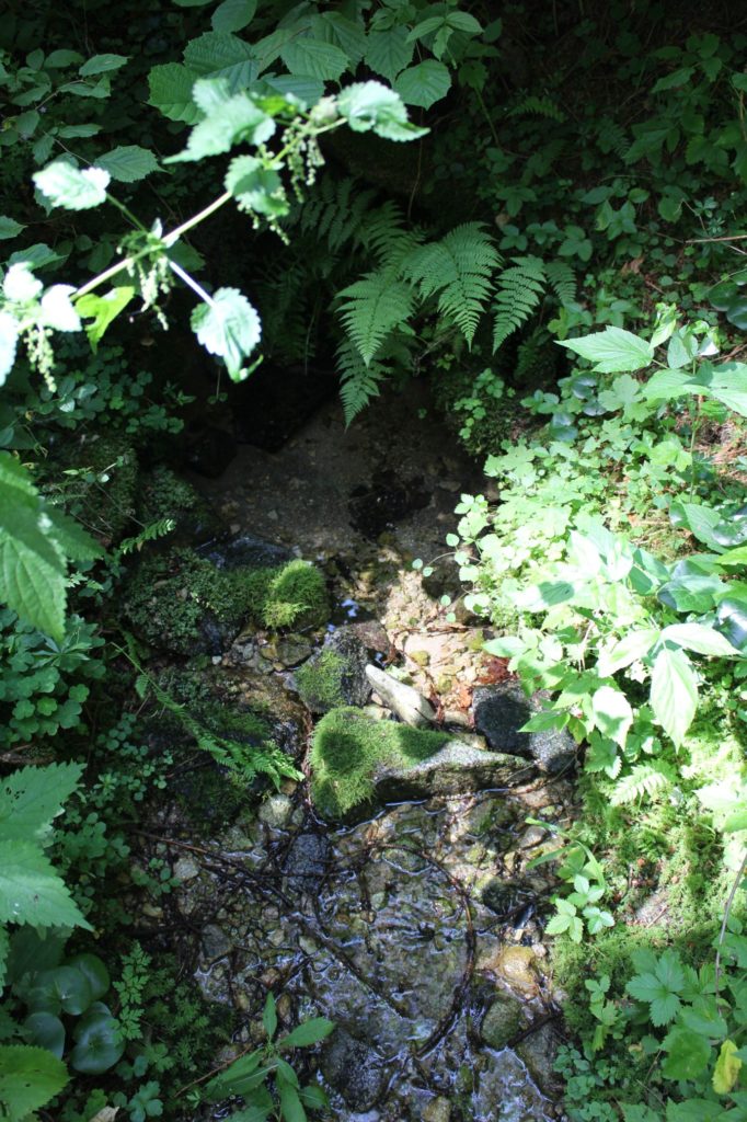 Prameň pod Škutovkami, Ružomberok - Podsuchá 01 Prameň pod Škutovkami, Ružomberok - Podsuchá 01