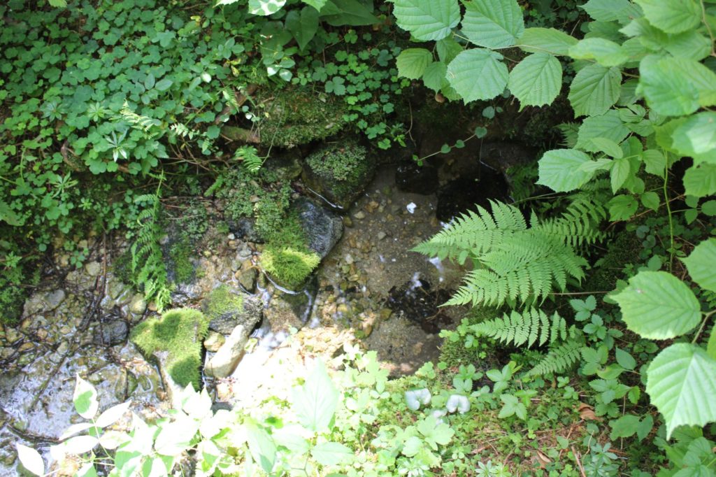 Prameň pod Škutovkami, Ružomberok - Podsuchá 02 Prameň pod Škutovkami, Ružomberok - Podsuchá 02