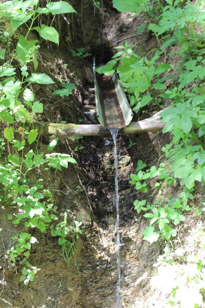 Prameň pod Škutovkami, Ružomberok - Podsuchá 04 Prameň pod Škutovkami, Ružomberok - Podsuchá 04