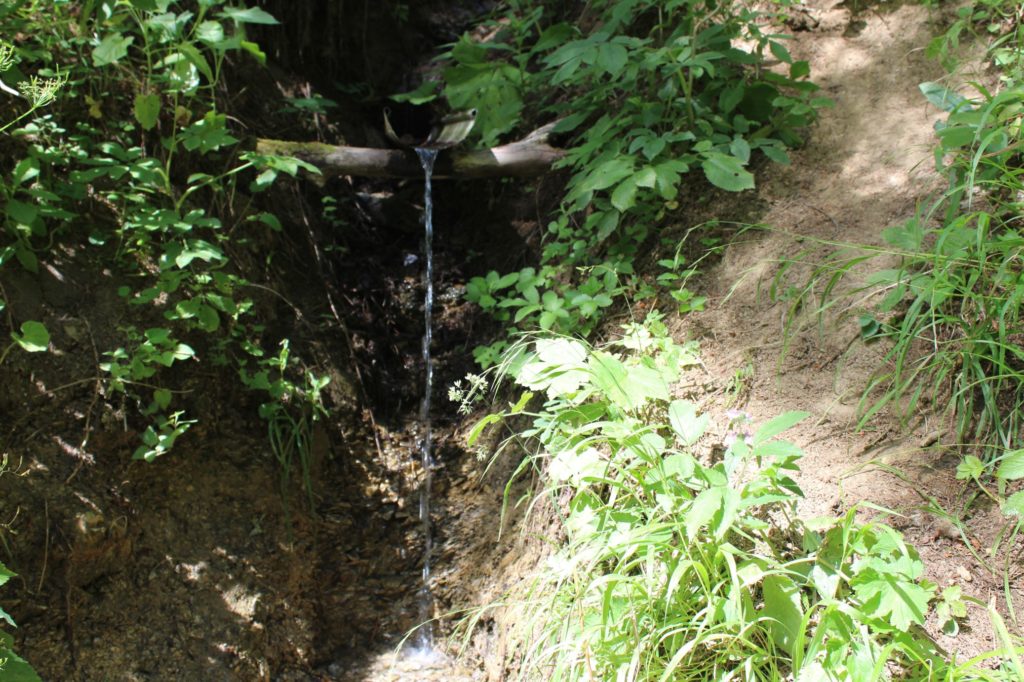 Prameň pod Škutovkami, Ružomberok - Podsuchá 05 Prameň pod Škutovkami, Ružomberok - Podsuchá 05
