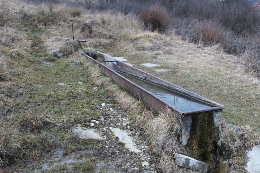 Prameň v lokalite Dielec, Ružomberok 04