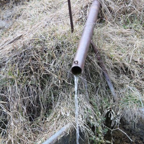 Spring in the area of Dielec, Ružomberok