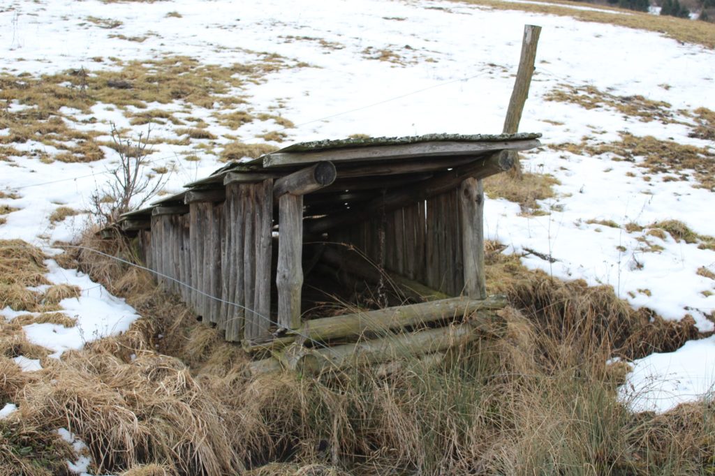 Studnička Srazy, Ružomberok - Černová 02