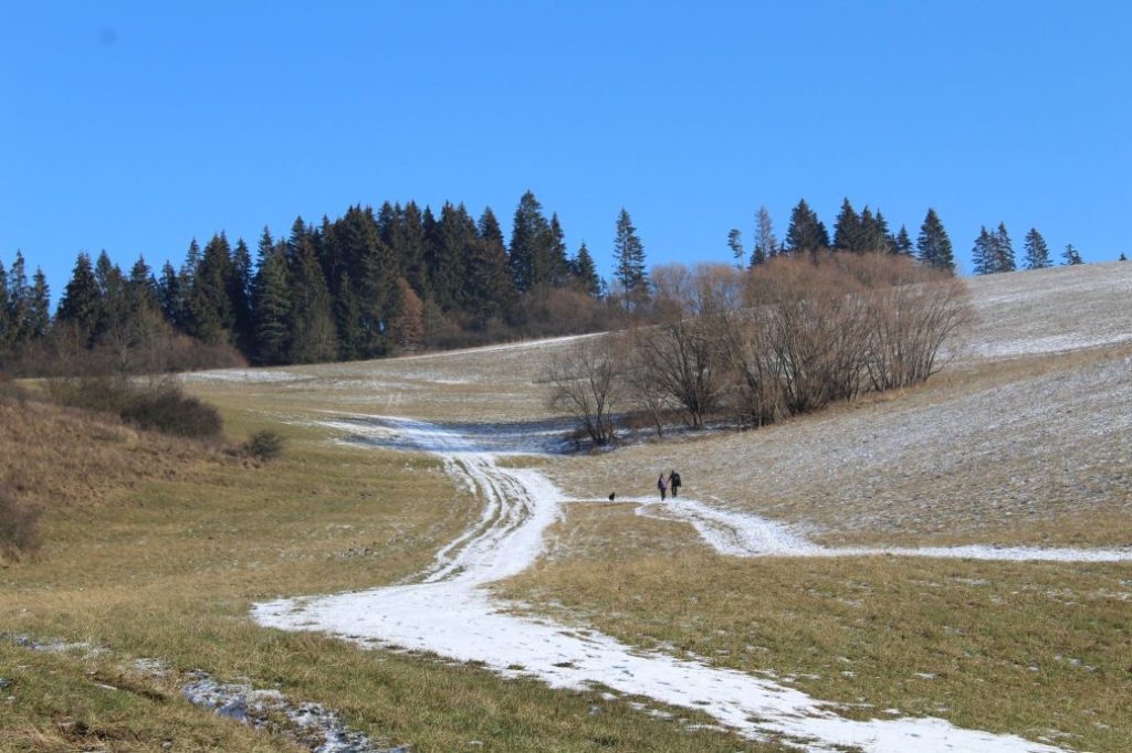 Kalameny - Liptovský hrad 11