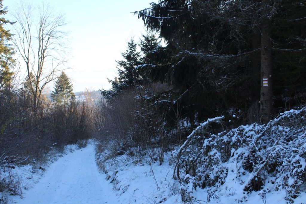 Kalameny - Liptovský hrad 14