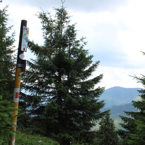 Nižným Matejkovom na Šiprúň