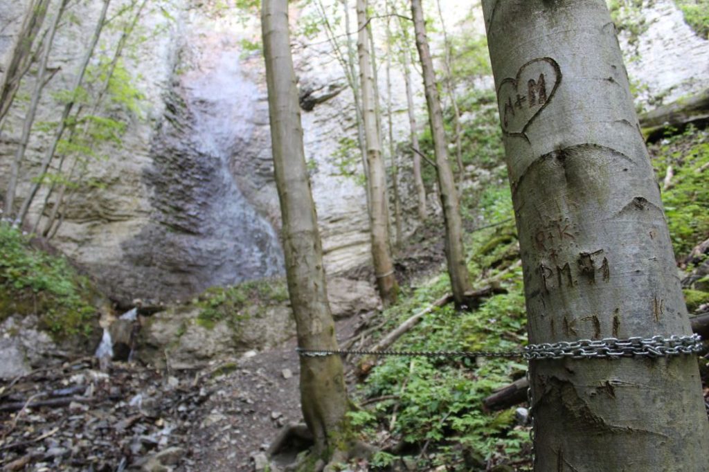 Podsuchá - Brankov - Biely Potok 10